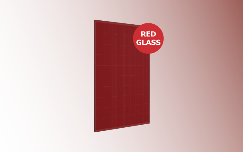 Mono RED GLASS con sfondo