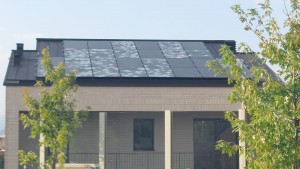 WhatsApp Image 2026-03-19 at 09.55.01 (1)